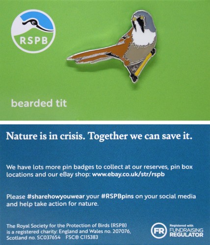Rspb pin badge niic - pin,