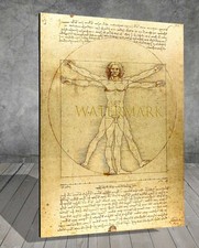 Da Vinci Vitruvian Man