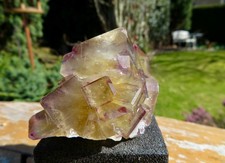 ⚒ NEW!! Yellow Green/Purple