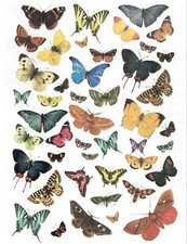 Rice Paper Decoupage Scrapbook