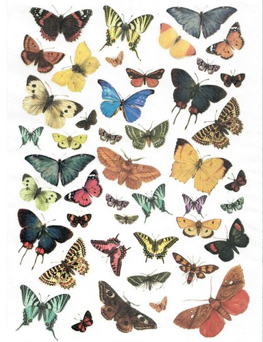 Rice paper decoupage scrapbook - rice,