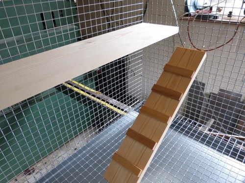 Wooden ramp ladder chinchilla - wooden, ramp/ladder