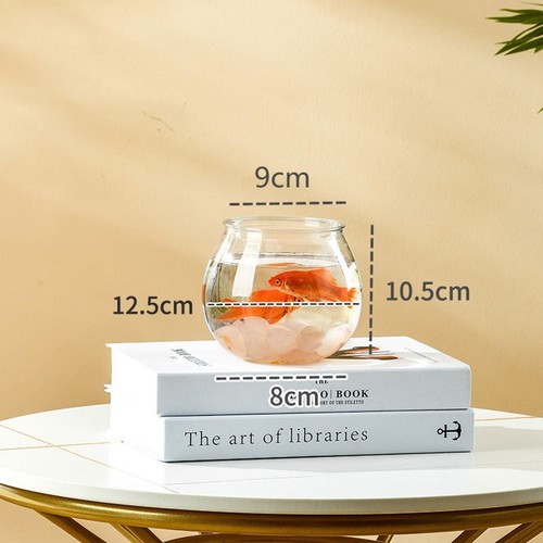 Portable fish bowl plastic - fish,