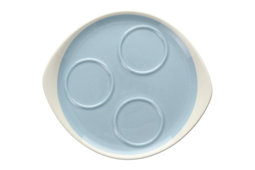 Wedgwood summer sky cruet - summer,