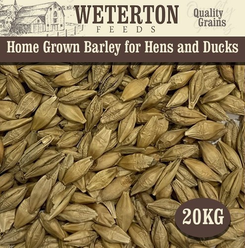 20kg home grown barley feed - home-grown,