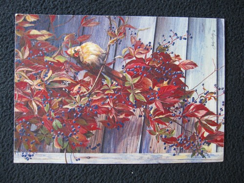 Virginia creeper art card - creeper,