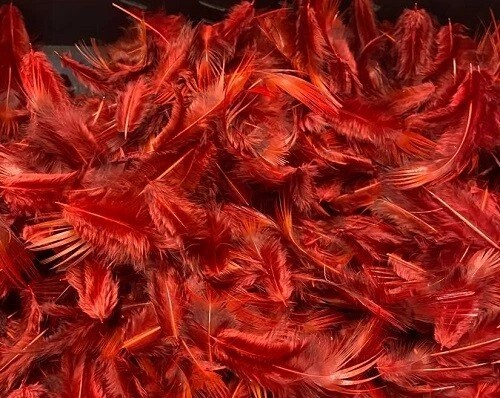 Dyed golden pheasant breast - golden,