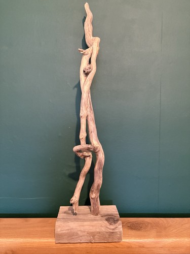 Driftwood lovers - driftwood, “lovers”