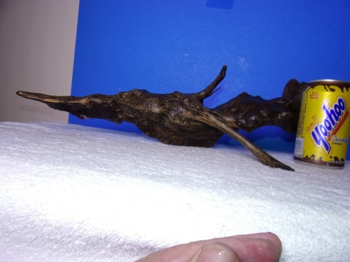 Large driftwood root - large,