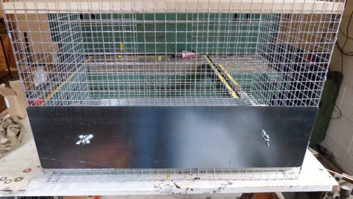 Chinchilla cage droppings - chinchilla,
