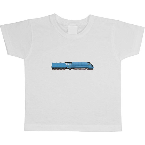 Mallard steam train - steam, train'