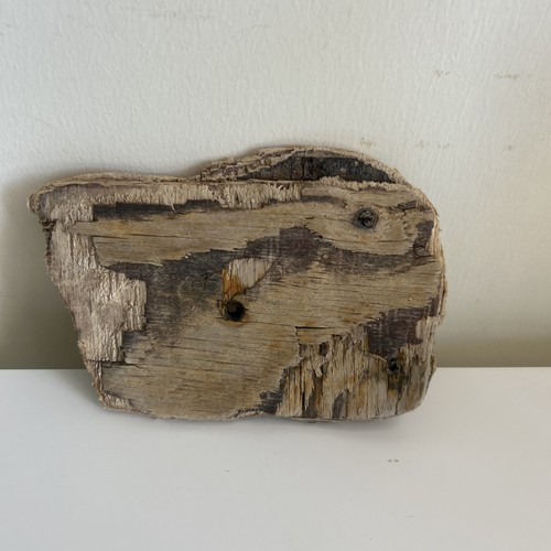 Flat driftwood piece - driftwood, –
