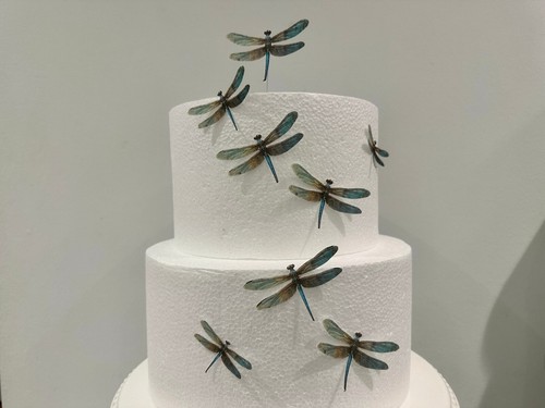Pre cut wafer dragonflies - 12, pre-cut