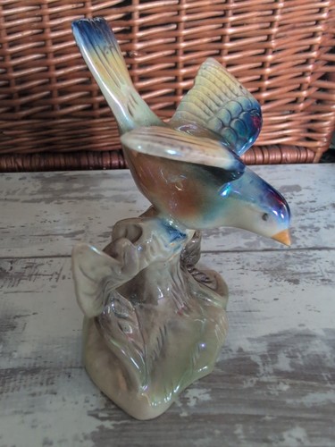 Jema holland bird - jema, 270