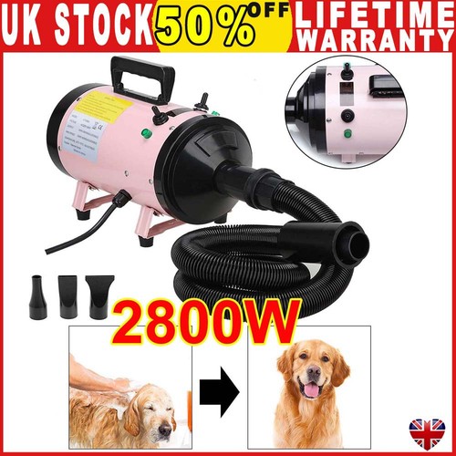 Dog cat pet dryer hair - cat,
