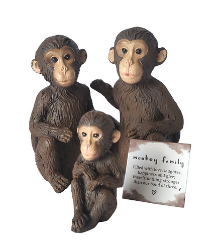 Monkey family boxed - family, 3