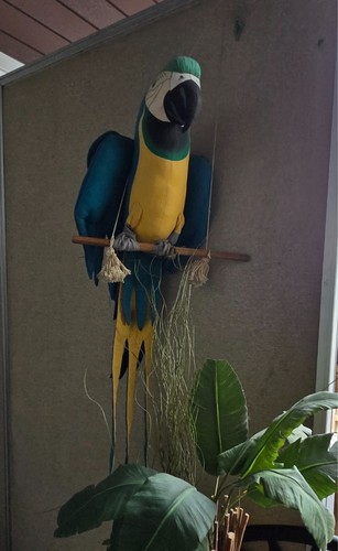 Vintag macaw parrot hanging - hanging, l