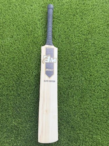 English willow cricket bat - english,