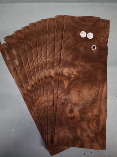 American walnut burr veneer - american,