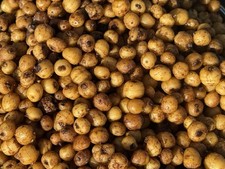 Prepared Tigernuts - Carp -