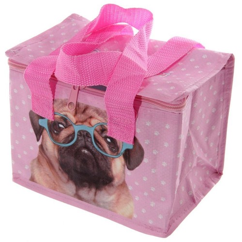 Kids insulated lunch bags - insulated, boys