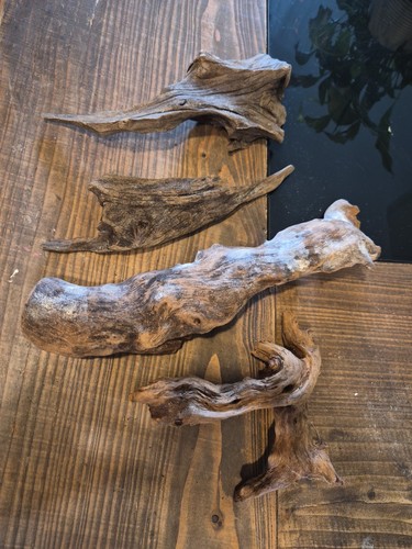 Bundle bogwood driftwood - of,