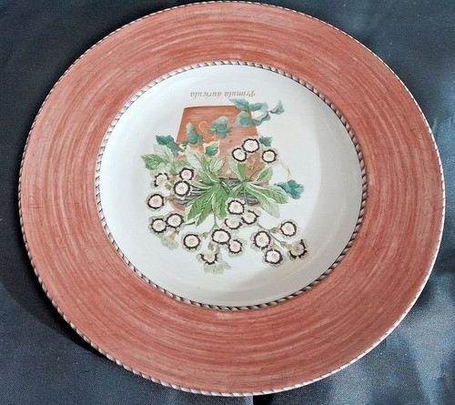 Wedgwood sarahs garden - wedgwood,