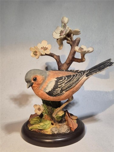 Border fine arts chaffinch - arts,