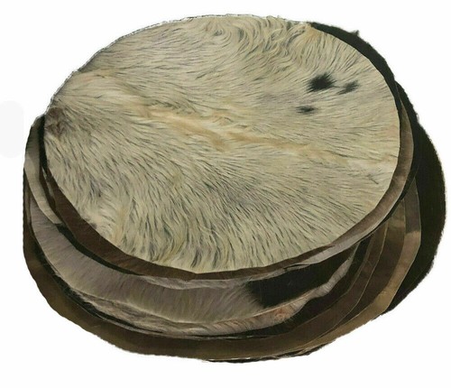 Goat skin hair djembe - skin,