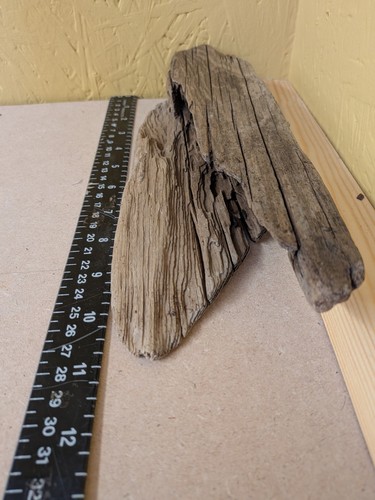 101 shaped flat driftwood - flat,