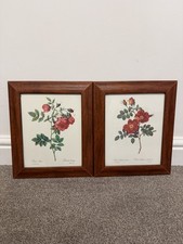 Pair of Pierre-Joseph Redouté