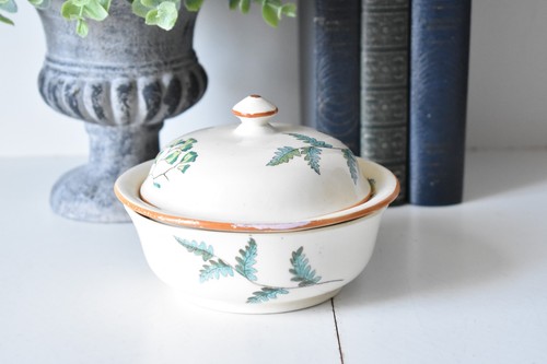 Vintage copeland soap dish - copeland,
