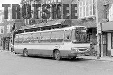 35mm Negative Potteries PMT