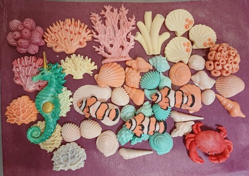 Sea ocean clown fish shells - clown,