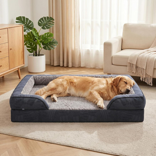 Extra large dog - large,