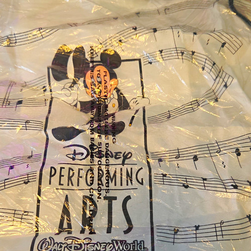 Disney performing arts minnie - disney,