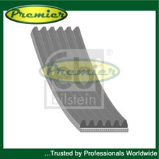 Premier Alternator Belt Fits