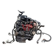 Dispatch Expert Scudo 1.6