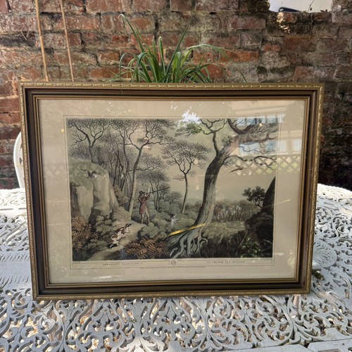 Large vintage framed - , pheasant