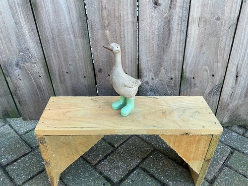 Duck with wellingtons - duck,
