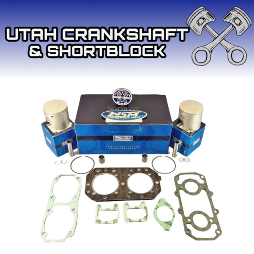 Wsm top end rebuild kit - end,