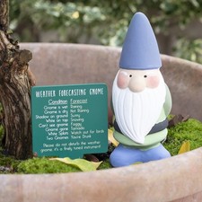 Terracotta Weather Forecasting Gnome - Blue Green Or Red Comes With Mini Sign