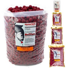 Monster squid shelf life