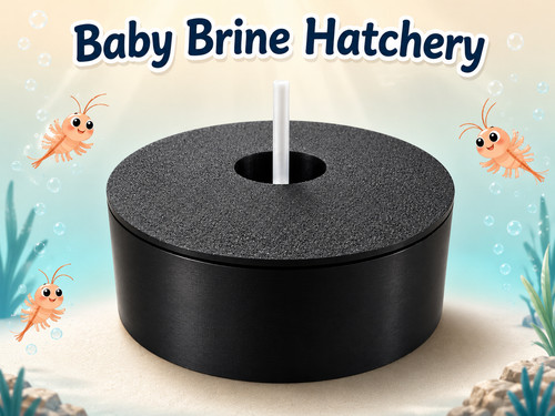 Baby brine shrimp hatchery - brine,