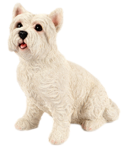 Sitting westie garden - sitting,