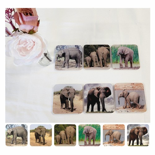Elephant coasters for kitchen - for,