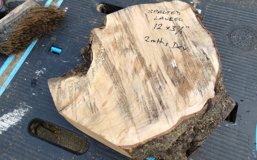 Spalted laurel bowl - laurel, wood
