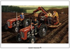 Vintage Massey Ferguson 35 Tractor Taties/Spud Harvest Poster Brochure Art (A3)