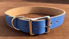 Blue Dog Collar Real Leather