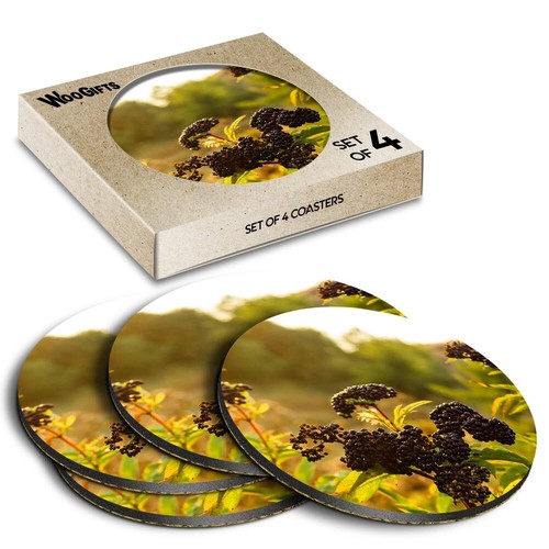 Round mdf coaster black - mdf,